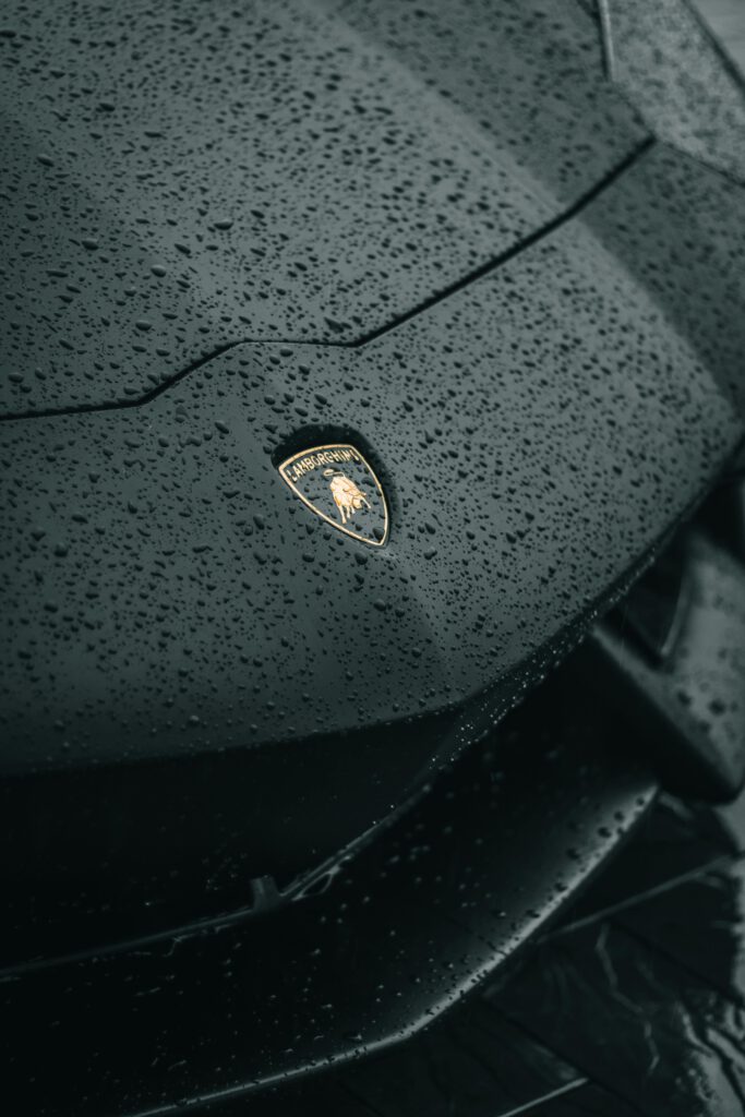 pexels-photo-10493497-10493497 Detailed shot of Lamborghini emblem on a wet car hood showcasing luxury and elegance.